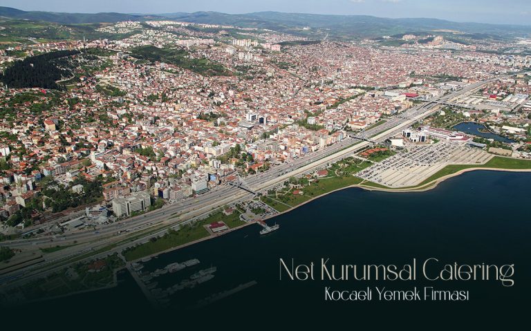 kocaeli yemek firması